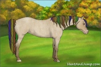Horse Color:Painted Classic Champagne Roan 