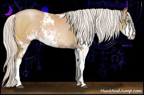 Horse Color:Silver Brown Pearl Sabino 