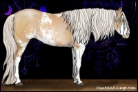 Horse Color:Silver Brown Pearl Sabino 