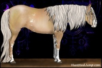 Horse Color:Silver Black Pearl Sabino 