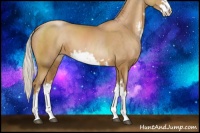 Horse Color:Silver Black Pearl Sabino 