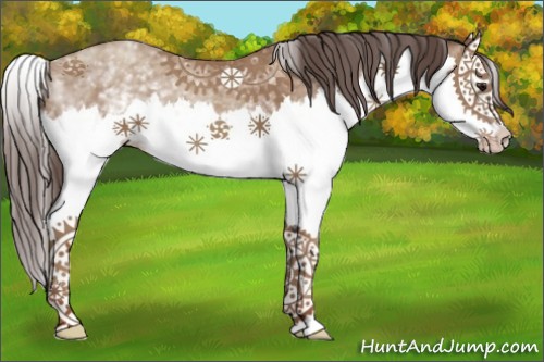 Horse Color:White Spotted Classic Champagne Splash