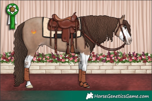 Horse Color:Classic Champagne Splash 