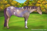 Horse Color:Liver Chestnut Pearl 