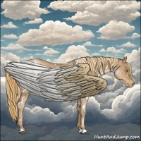 Horse Color:White Spotted Liver Chestnut Pearl Appaloosa 