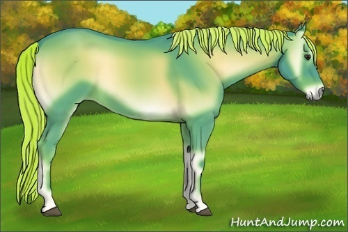 Horse Color:Watercolor Red Onyx Ice 