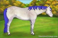 Horse Color:Watercolor Buckskin Ice Onyx