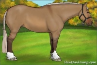 Horse Color:Silver Brown Dun