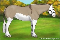 Horse Color:Silver Grullo Splash