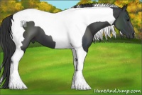 Horse Color:Black Tobiano 