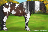 Horse Color:White Spotted Brown 