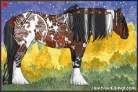 Horse Color:White Spotted Brown 
