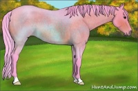 Horse Color:Watercolor Bay Roan 