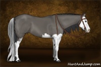 Horse Color:Grullo Sabino Splash 