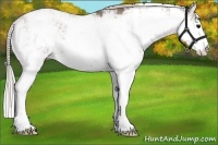 Horse Color:Silver Grullo Sabino Rabicano