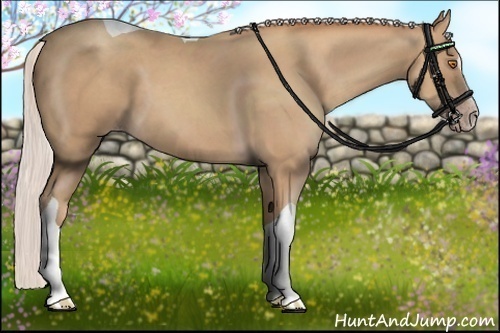 Horse Color:Silver Classic Champagne Sabino Tobiano