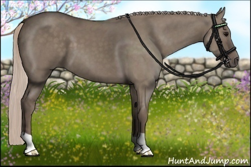 Horse Color:Silver Grullo 