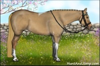 Horse Color:Red Dun Tobiano 