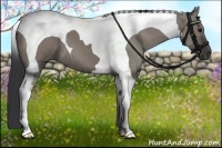 Horse Color:Grullo Tobiano 