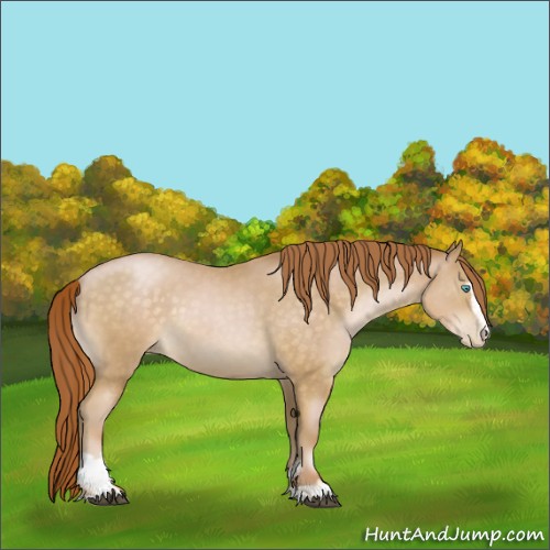Horse Color:Buckskin Pearl Sabino 