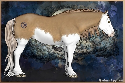 Horse Color:Liver Red Dun Splash 