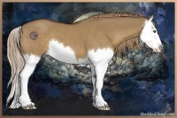 Horse Color:Liver Red Dun Splash 