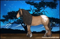Horse Color:Bay Snowcap 