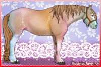 Horse Color:White Spotted Chestnut Pearl 