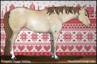 Horse Color:Grullo Pearl Sabino Rabicano 