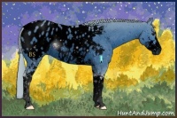 Horse Color:ERROR: UNKNOWN ANOMALY