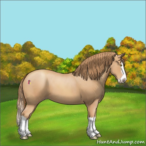 Horse Color:Gold Champagne Splash