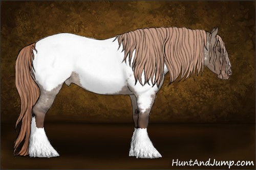 Horse Color:Liver Red Dun Roan Snowcap 