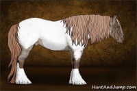 Horse Color:Liver Red Dun Roan Snowcap 