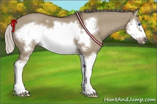 Horse Color:Silver Grullo Roan Sabino Splash Frame 