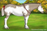 Horse Color:Silver Grullo Roan Sabino Splash Frame 