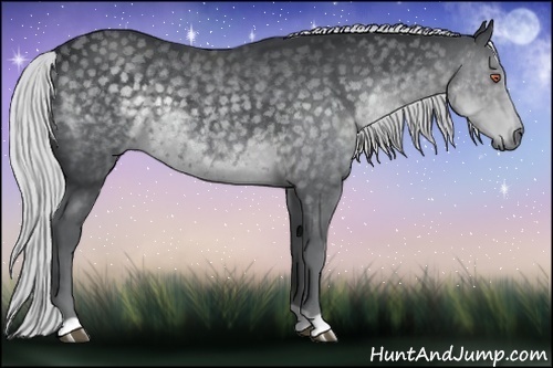 Horse Color:Silver Black Chinchilla 