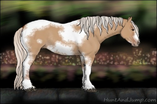 Horse Color:Silver Bay Dun Sabino Tobiano Frame Rabicano 