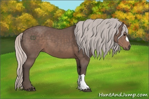 Horse Color:Silver Black 