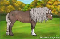 Horse Color:Silver Black