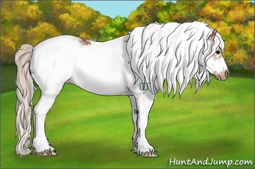 Horse Color:White Spotted Silver Brown Frame