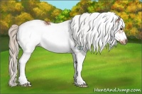 Horse Color:White Spotted Silver Brown Frame