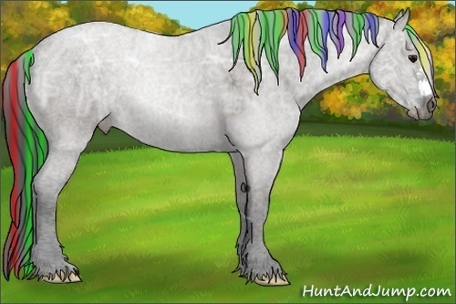Horse Color:Painted Grullo Ice 