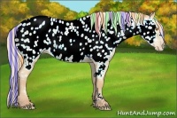 Horse Color:Painted Silver Classic Champagne Ice Appaloosa Rabicano 