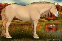Horse Color:Gold Champagne Splash