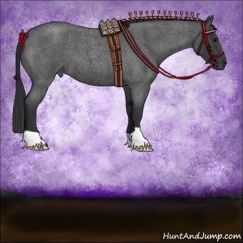 Horse Color:Blue Roan 