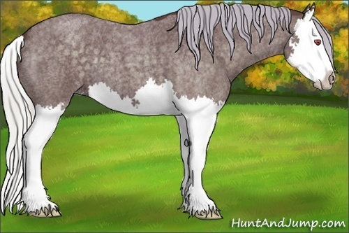 Horse Color:Chocolate Silver Blue Chinchilla Roan Sabino Splash