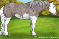 Horse Color:Chocolate Silver Blue Chinchilla Roan Sabino Splash 