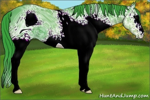 Horse Color:ERROR: UNKNOWN ANOMALY