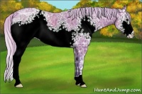 Horse Color:Watercolor White Spotted Silver Brown Ice 