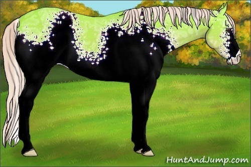 Horse Color:Watercolor White Spotted Liver Chestnut Ice 